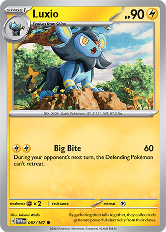 Twilight Masquerade Reverse Holos